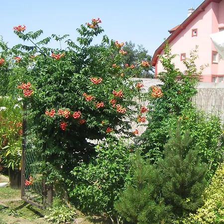 Апартаменты Kaiser